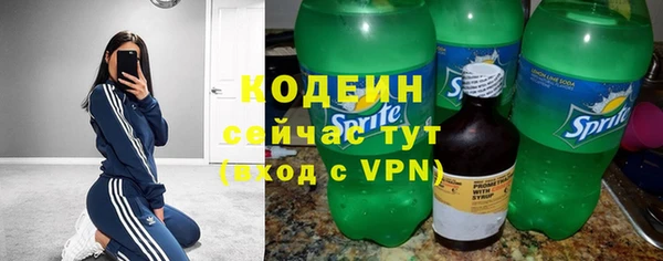 гашик Куйбышев