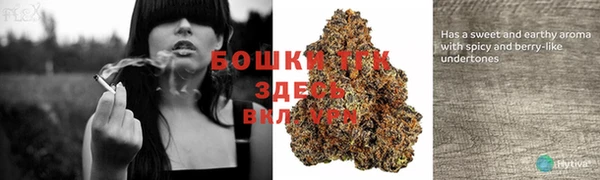 гашик Куйбышев