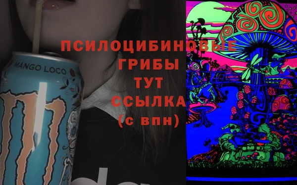 spice Кукмор